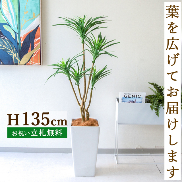 フェイクグリーン ユッカポット H約135cm 鉢付き / 人工観葉植物 観葉植物 フェイク 造花 店舗 装飾 開店 開業 移転 祝い ギフト プレゼント おしゃれ 住宅展示場 モデルハウス オフィス 立札無料 PG198-Q25WH