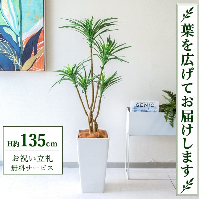 【すぐ飾れる】 フェイクグリーン ユッカ H約135cm 鉢付き / 法人・開店祝い 店舗・オフィス装飾 空間演出 立札無料・造花/PG198-Q25WH