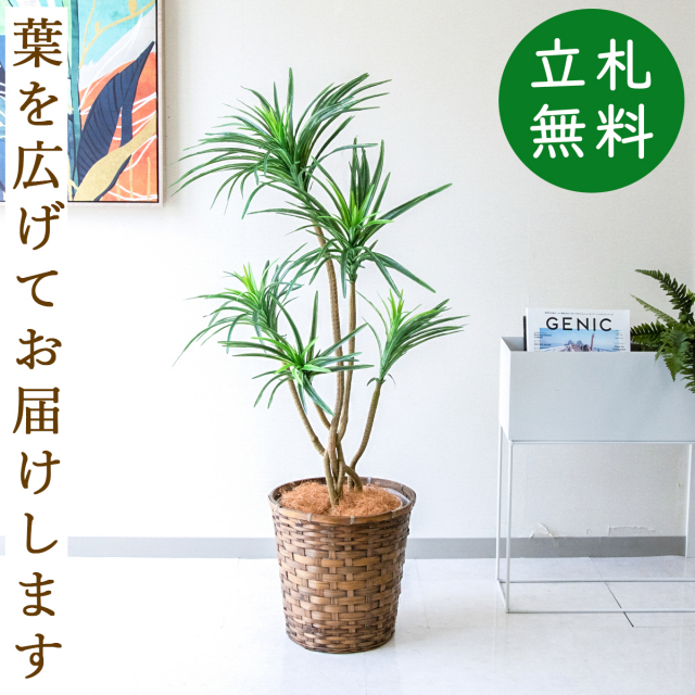 フェイクグリーン ユッカポット H約115cm 鉢付き / 人工観葉植物 観葉植物 フェイク 造花 店舗 装飾 開店 開業 移転 祝い ギフト プレゼント おしゃれ 住宅展示場 モデルハウス オフィス 立札無料 PG198-S28