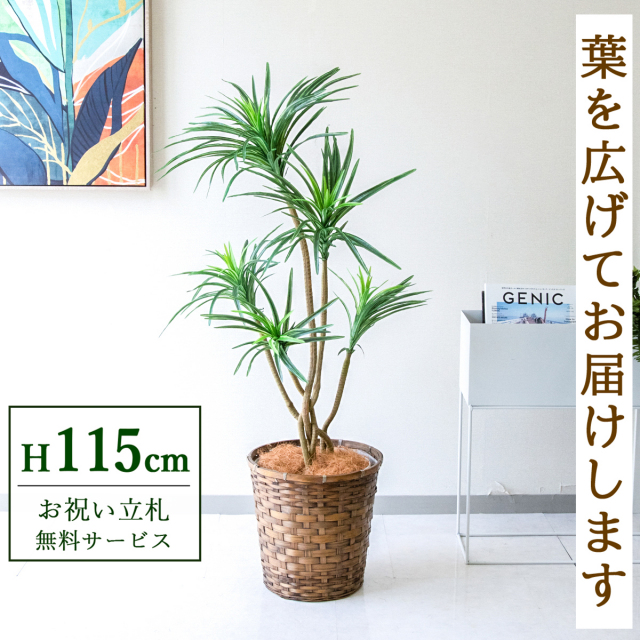 フェイクグリーン ユッカ H約115cm 鉢付き / 人工観葉植物 観葉植物 フェイク 造花 店舗 装飾 開店 開業 移転 祝い ギフト プレゼント おしゃれ 住宅展示場 モデルハウス オフィス 立札無料 PG198-S28