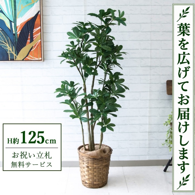 【すぐ飾れる】 フェイクグリーン シェフレラ カポック H約125cm 鉢付き / 法人・開店祝い 店舗・オフィス装飾 空間演出 立札無料・造花/PG204-S24