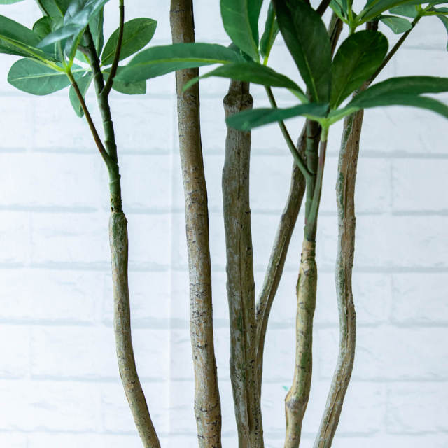 人工 観葉植物 フェイク グリーン シェフレラ H約125cm 店舗 装飾 開店