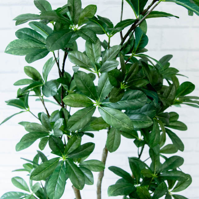 人工 観葉植物 フェイク グリーン シェフレラ H約125cm 店舗 装飾 開店
