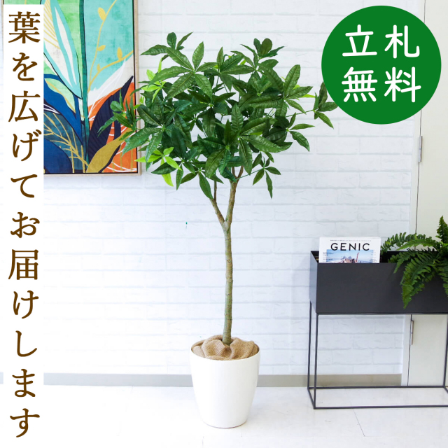 フェイクグリーン パキラ H約145cm 鉢付き / 観葉植物 フェイク 人工観葉植物 造花 店舗 装飾 開店 開業 移転 祝い ギフト プレゼント おしゃれ 住宅展示場 モデルハウス オフィス 立札無料 PG205-A265WH