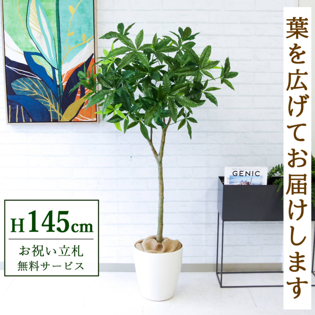 フェイクグリーン パキラ H約145cm 鉢付き / 観葉植物 フェイク 人工観葉植物 造花 店舗 装飾 開店 開業 移転 祝い ギフト プレゼント おしゃれ 住宅展示場 モデルハウス オフィス 立札無料 PG205-A265WH