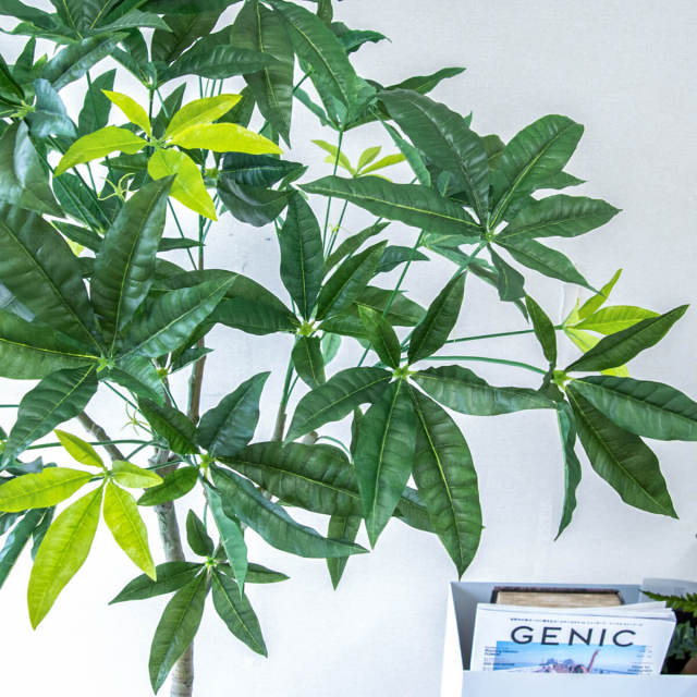 人工 観葉植物 フェイク グリーン パキラ H約145cm 店舗 装飾 開店