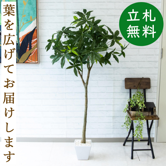 フェイクグリーン パキラ H約145cm 鉢付き / 観葉植物 フェイク 人工観葉植物 造花 店舗 装飾 開店 開業 移転 祝い ギフト プレゼント おしゃれ 住宅展示場 モデルハウス オフィス 立札無料 PG205