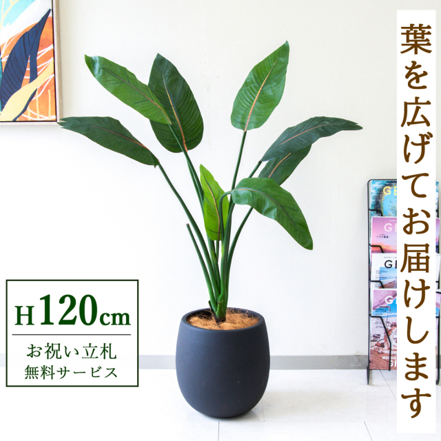 フェイクグリーン ストレチア H約120cm 鉢付き / 人工観葉植物 観葉植物 フェイク 造花 店舗 装飾 開店 開業 移転 祝い ギフト プレゼント おしゃれ 住宅展示場 モデルハウス オフィス 立札無料 /PG207-BAL30BK