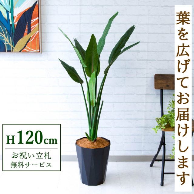 フェイクグリーン ストレチア H約120cm 鉢付き / 観葉植物 フェイク 人工観葉植物 造花 店舗 装飾 開店 開業 移転 祝い ギフト プレゼント おしゃれ 住宅展示場 モデルハウス オフィス 立札無料 PG207-C240BK