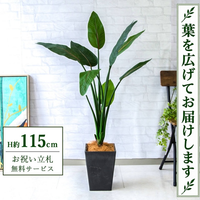 【すぐ飾れる】 フェイクグリーン ストレチア H約115cm 鉢付き / 法人・開店祝い 店舗・オフィス装飾 空間演出 立札無料・造花/PG207-Q20BK