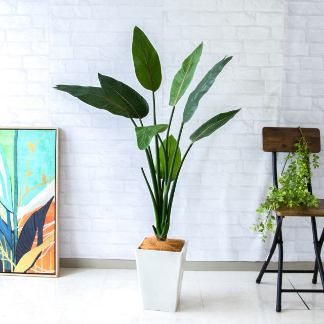 人工 観葉植物 フェイク グリーン ストレチア H約115cm 店舗 装飾 開店