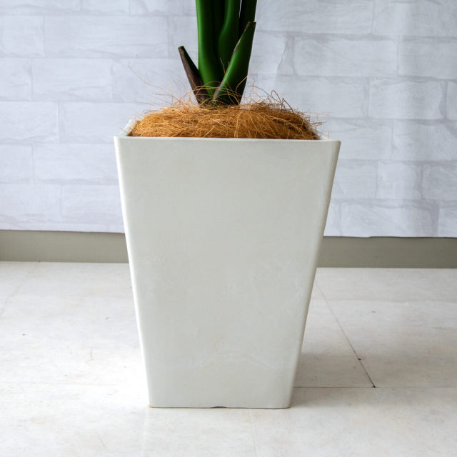 人工観葉植物 フェイクグリーン4点 ホワイト鉢付き Amazon｜フェイクグリーン ミニユッカ鉢植 白鉢 24cm 陶器鉢 観葉植物