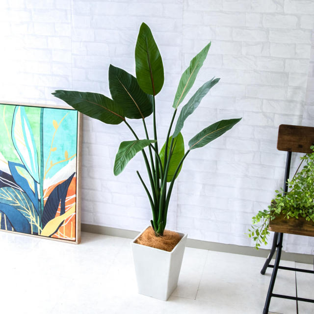 フェイクグリーン　スクエア 人工 観葉植物 フェイク グリーン ストレチア H約115cm 店舗 装飾 開店