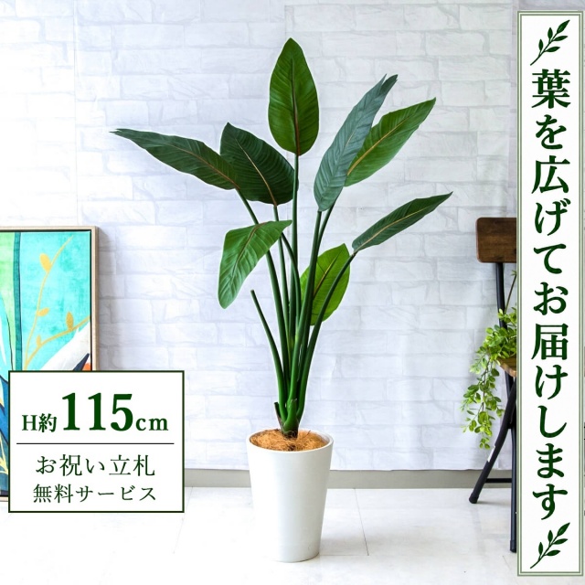 【すぐ飾れる】 フェイクグリーン ストレチア H約115cm 鉢付き / 法人・開店祝い 店舗・オフィス装飾 空間演出 立札無料・造花/PG207-X20WH