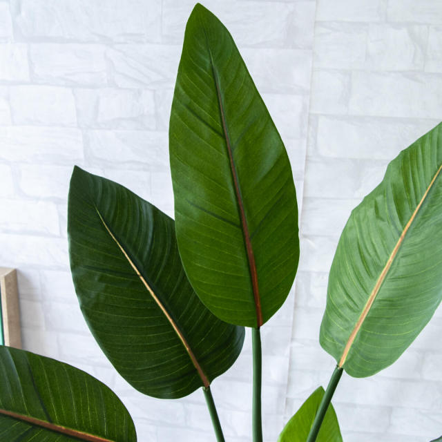 人工 観葉植物 フェイク グリーン ストレチア H約115cm 店舗 装飾 開店