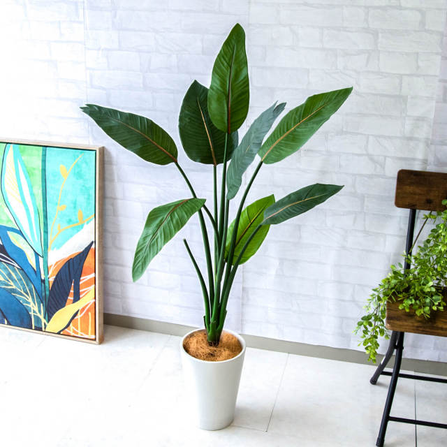 フェイクグリーン　スクエア GREEN COFFRET ストレチア130cm 人工観葉植物 フェイクグリーン