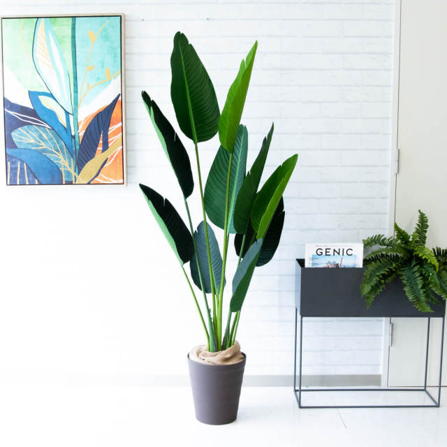 人工 観葉植物 フェイク グリーン オーガスタ H約150cm 店舗