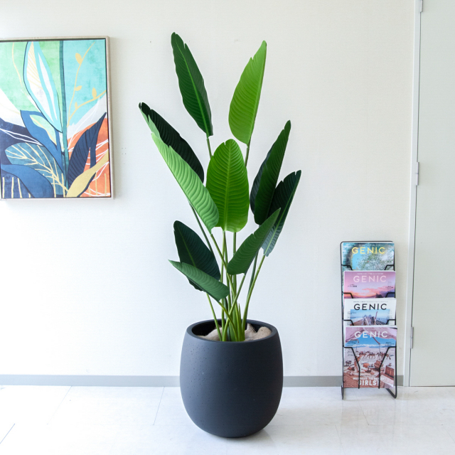 人工 観葉植物 フェイク グリーン ベンジャミンフィカスツリー H約