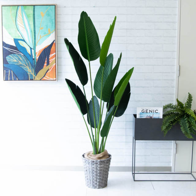人工 観葉植物 フェイク グリーン オーガスタ H約150cm 店舗 装飾 開店 