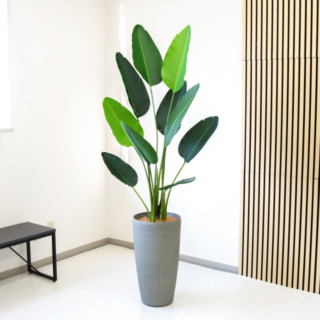 人工 観葉植物 フェイク グリーン オーガスタ H約185cm 大型 店舗 装飾 