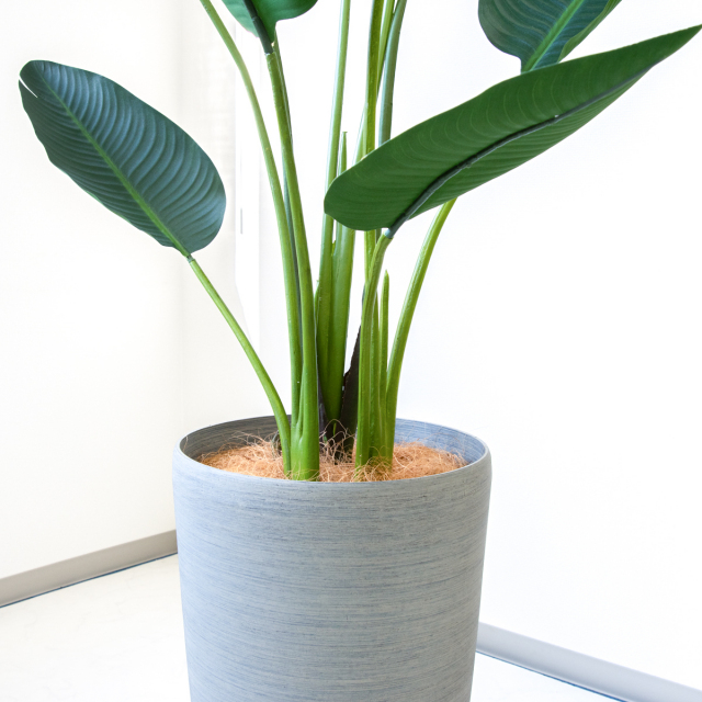 人工 観葉植物 フェイク グリーン オーガスタ H約185cm 大型 店舗 装飾 