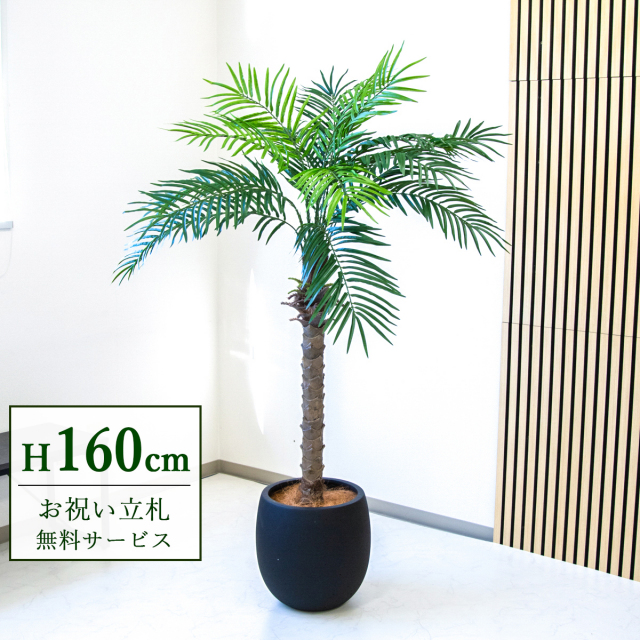 フェイクグリーン フェニックスパームツリー(ヤシの木) H約160cm 鉢付き ２分割 / 人工観葉植物 観葉植物 フェイク 造花 大型 大きいパームツリー 南国 夏 店舗 装飾 開店 開業 移転 祝い ギフト プレゼント おしゃれ 住宅展示場 モデルハウス PG212-BAL35BK