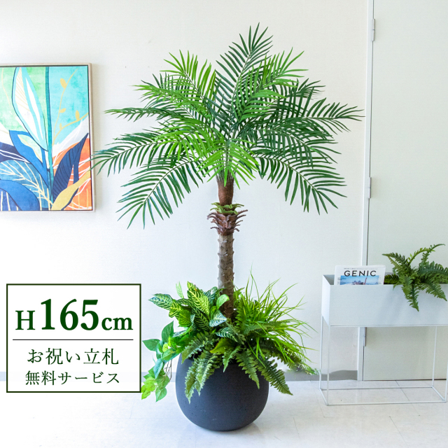 【すぐ飾れる】 フェイクグリーン フェニックス パームツリー ヤシの木 165cm 2分割 鉢付き / 法人・開店祝い 店舗・オフィス装飾 空間演出 立札無料・造花/PG212-D42BK-UG6