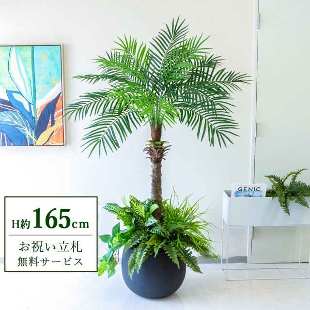 【すぐ飾れる】 フェイクグリーン フェニックス パームツリー ヤシの木 H約165cm 2分割 鉢付き / 法人・開店祝い 店舗・オフィス装飾 空間演出 立札無料・造花/PG212-D42BK-UG6