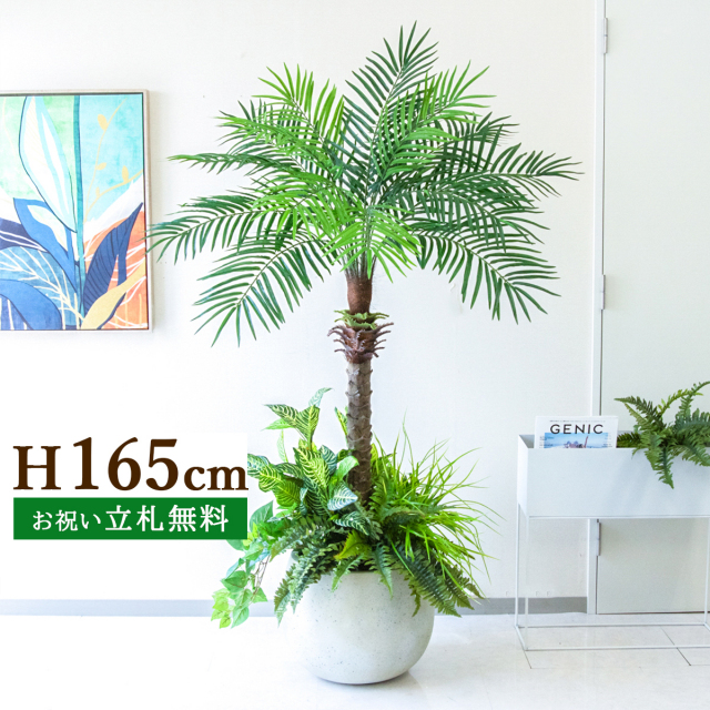 フェイクグリーン フェニックスパームツリー(ヤシの木) H約165cm 鉢付き ２分割 / 人工観葉植物 観葉植物 フェイク 造花 大型 大きいパームツリー 南国 夏 店舗 装飾 開店 開業 移転 祝い ギフト プレゼント おしゃれ 住宅展示場 モデルハウス PG212-D42IV-UG6