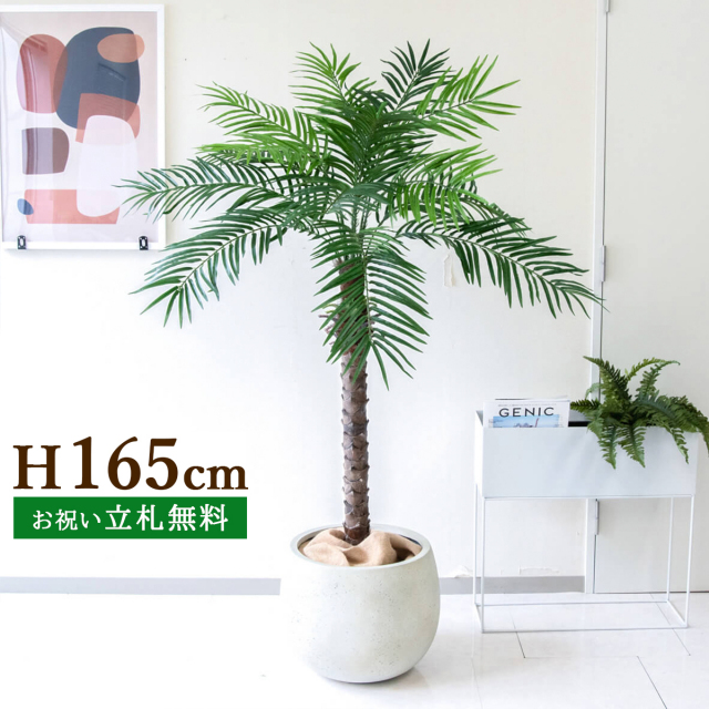 フェイクグリーン フェニックスパームツリー(ヤシの木) H約165cm 鉢付き ２分割 / 人工観葉植物 観葉植物 フェイク 造花 大型 大きいパームツリー 南国 夏 店舗 装飾 開店 開業 移転 祝い ギフト プレゼント おしゃれ 住宅展示場 モデルハウス PG212-D42IV