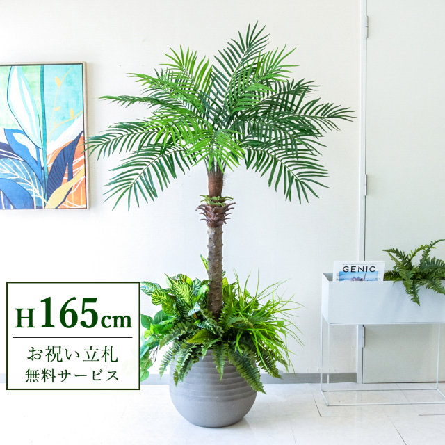 【すぐ飾れる】 フェイクグリーン フェニックス パームツリー ヤシの木 165cm 2分割 鉢付き / 法人・開店祝い 店舗・オフィス装飾 空間演出 立札無料・造花/PG212-J40-UG6