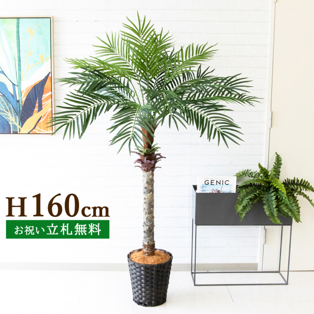 フェイクグリーン フェニックスパームツリー(ヤシの木) H約160cm 鉢付き ２分割 / 人工観葉植物 観葉植物 フェイク 造花 大型パームツリー 南国 夏 店舗 装飾 開店 開業 移転 祝い ギフト プレゼント おしゃれ 住宅展示場 モデルハウス オフィス PG212-MEL26DB