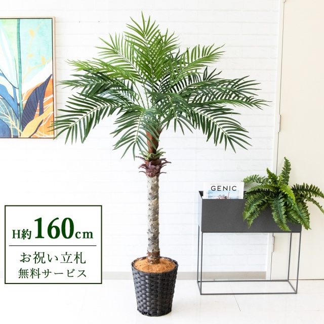 【すぐ飾れる】 フェイクグリーン フェニックス パームツリー ヤシの木 H約160cm 2分割 鉢付き / 法人・開店祝い 店舗・オフィス装飾 空間演出 立札無料・造花/PG212-MEL26DB