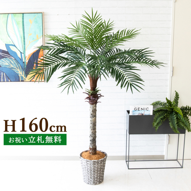 フェイクグリーン フェニックスパームツリー(ヤシの木) H約160cm 鉢付き ２分割 / 人工観葉植物 観葉植物 フェイク 造花 大型パームツリー 南国 夏 店舗 装飾 開店 開業 移転 祝い ギフト プレゼント おしゃれ 住宅展示場 モデルハウス オフィス PG212-MEL26GY