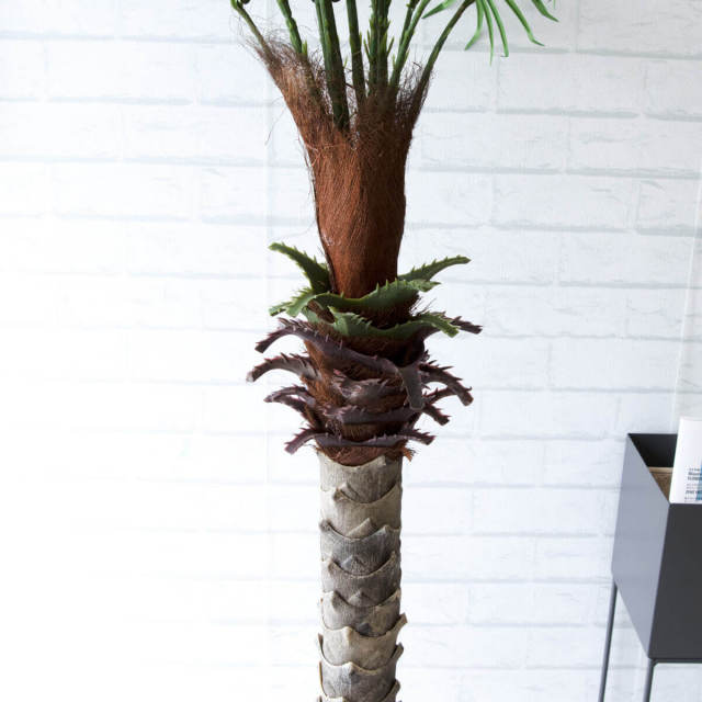 人工 観葉植物 フェイク グリーン フェニックスパームツリー