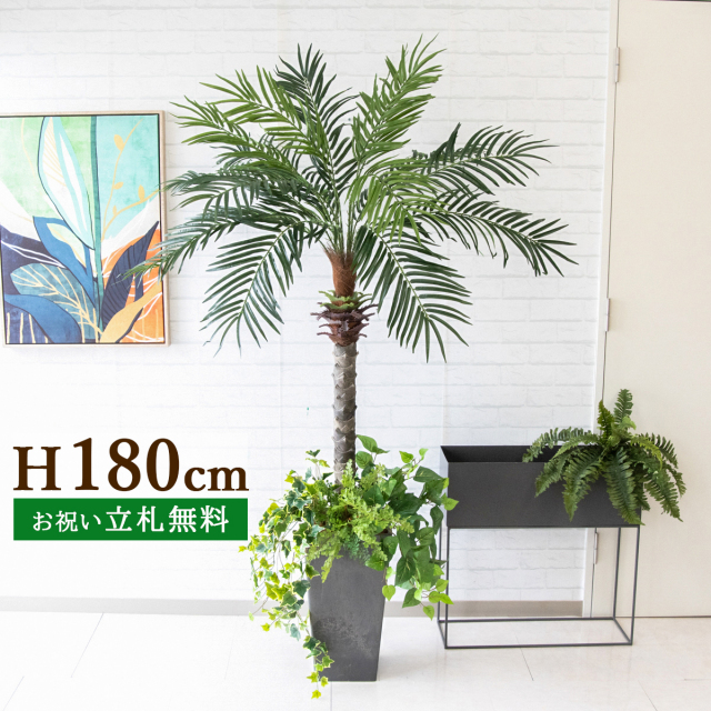 フェイクグリーン フェニックスパームツリー(ヤシの木) H約180cm 鉢付き ２分割 / 人工観葉植物 観葉植物 フェイク 造花 大型 大きいパームツリー 南国 夏 店舗 装飾 開店 開業 移転 祝い ギフト プレゼント おしゃれ 住宅展示場 モデルハウス PG212-Q25BK-UG1