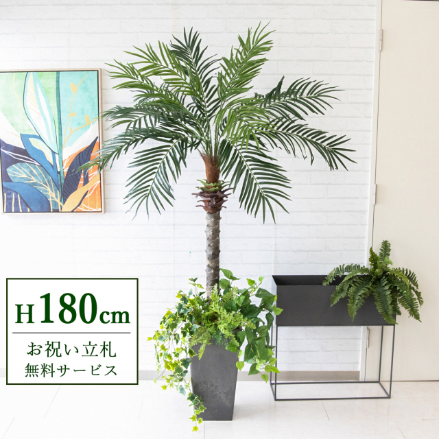 フェイクグリーン フェニックスパームツリー(ヤシの木) H約180cm 鉢付き ２分割 / 人工観葉植物 観葉植物 フェイク 造花 大型 大きいパームツリー 南国 夏 店舗 装飾 開店 開業 移転 祝い ギフト プレゼント おしゃれ 住宅展示場 モデルハウス PG212-Q25BK-UG1
