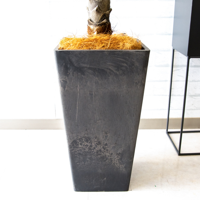 ☆日本製☆☆☆フェイクグリーン フェニックス 2.1（組立式） 高さ2.1m 楽天市場】フェイク グリーン フェニックスの通販