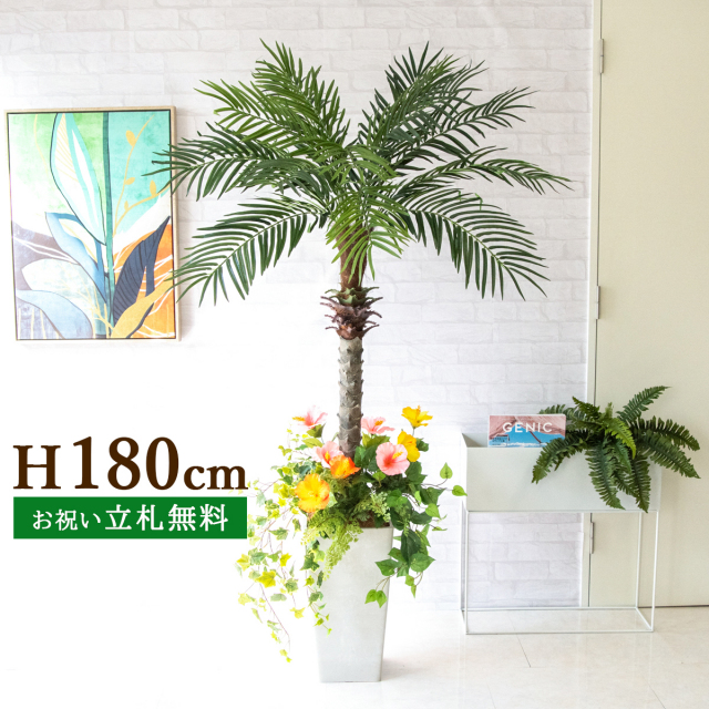 フェニックス 大型 観葉植物 人気 おしゃれ インテリアグリーン