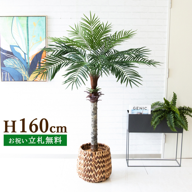 フェイクグリーン フェニックスパームツリー(ヤシの木) H約160cm 鉢付き ２分割 / 人工観葉植物 観葉植物 フェイク 造花 大型パームツリー 南国 夏 店舗 装飾 開店 開業 移転 祝い ギフト プレゼント おしゃれ 住宅展示場 モデルハウス オフィス PG212-R26