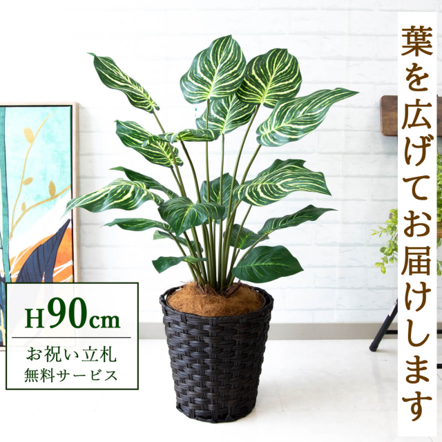 【すぐ飾れる】 フェイクグリーン ゼブラ 90cm 鉢付き / 法人・開店祝い 店舗・オフィス装飾 空間演出 立札無料・造花/PG214-MEL26DB