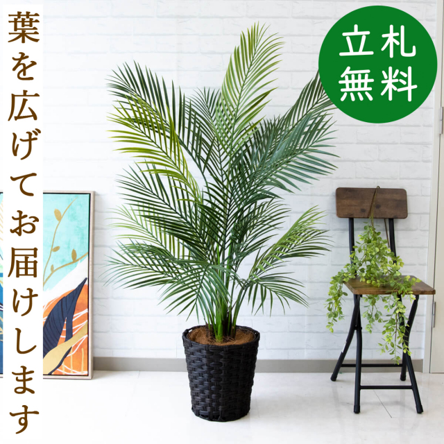 フェイクグリーン アレカパームツリー H約130cm 鉢付き / 人工観葉植物 観葉植物 フェイク 造花パームツリー 南国 夏 店舗 装飾 開店 開業 移転 祝い ギフト プレゼント おしゃれ 住宅展示場 モデルハウス オフィス 立札無料 PG215-MEL26DB
