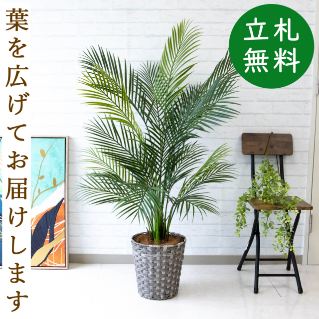 フェイクグリーン アレカパームツリー H約130cm 鉢付き / 人工観葉植物 観葉植物 フェイク 造花パームツリー 南国 夏 店舗 装飾 開店 開業 移転 祝い ギフト プレゼント おしゃれ 住宅展示場 モデルハウス オフィス 立札無料 PG215-MEL26GY