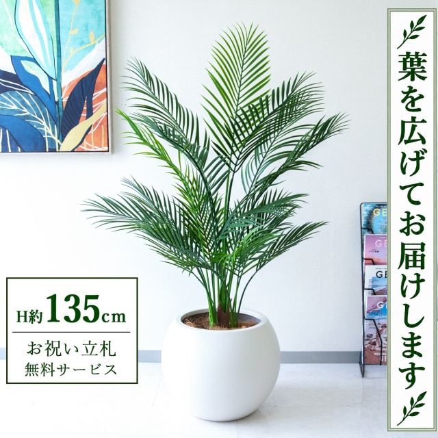 【すぐ飾れる】 フェイクグリーン アレカパーム H約135cm 鉢付き / 法人・開店祝い 店舗・オフィス装飾 空間演出 立札無料・造花/PG215-ROM43IV