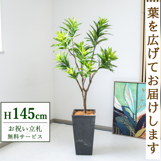 【すぐ飾れる】 フェイクグリーン ソングオブジャマイカ 145cm 鉢付き / 法人・開店祝い 店舗・オフィス装飾 空間演出 立札無料・造花/PG216-Q25BK