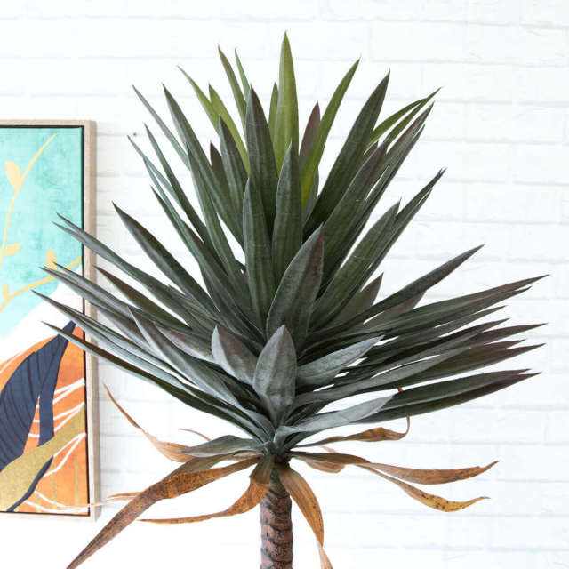 人工 観葉植物 フェイク グリーン ユッカアロイフィリア H約170cm 大型