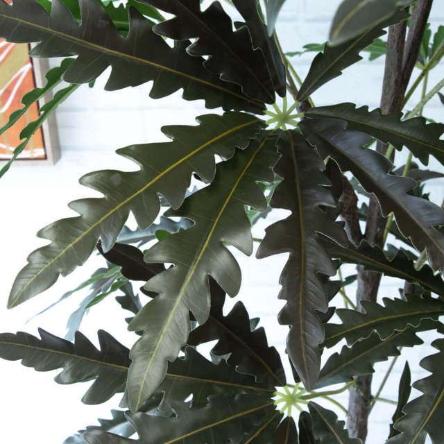 人工 観葉植物 フェイク グリーン アラレアツリー H約180cm 大型