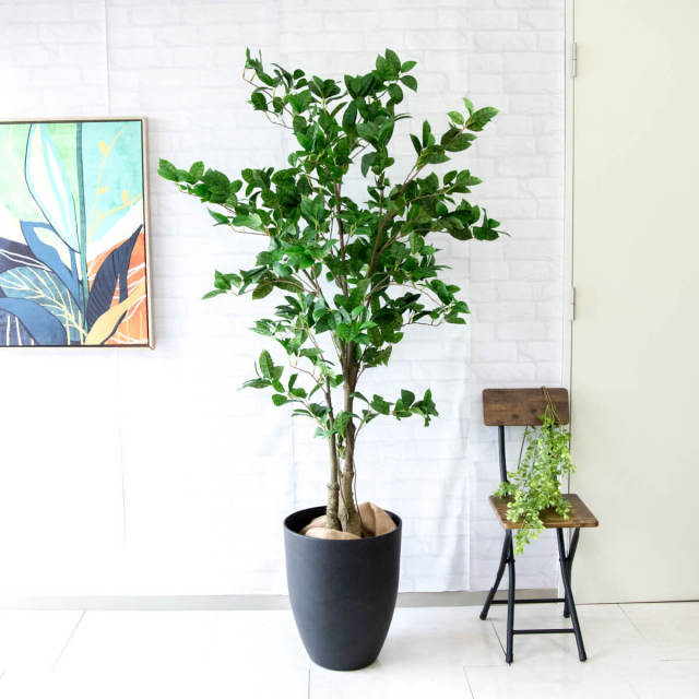 人工 観葉植物 フェイク グリーン オスマンサスツリー H約175cm