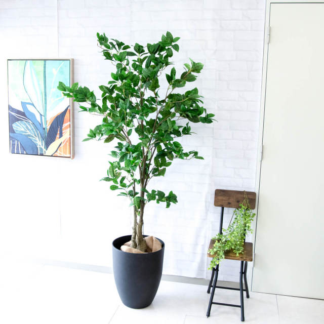 人工 観葉植物 フェイク グリーン オスマンサスツリー H約175cm