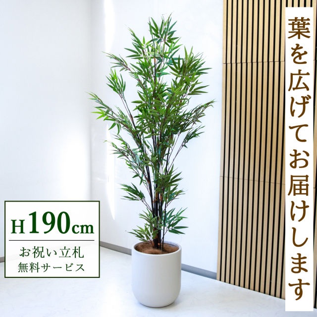 【すぐ飾れる】 フェイクグリーン 黒竹 190cm 大型 鉢付き / 法人・開店祝い 店舗・オフィス装飾 空間演出 立札無料・造花/PG229-CHC33IV